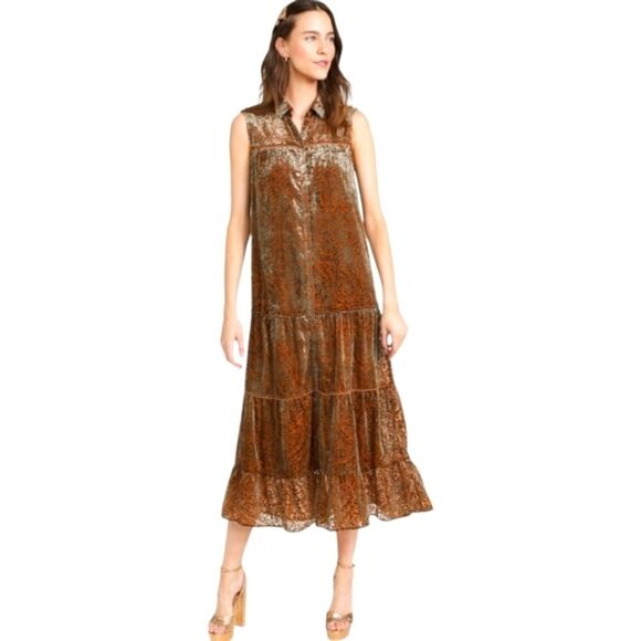 NWT BB Dakota  Telepatia Maxi Boho Bohemian Velvet Paisley Fall Dress Size Small - Picture 3 of 13